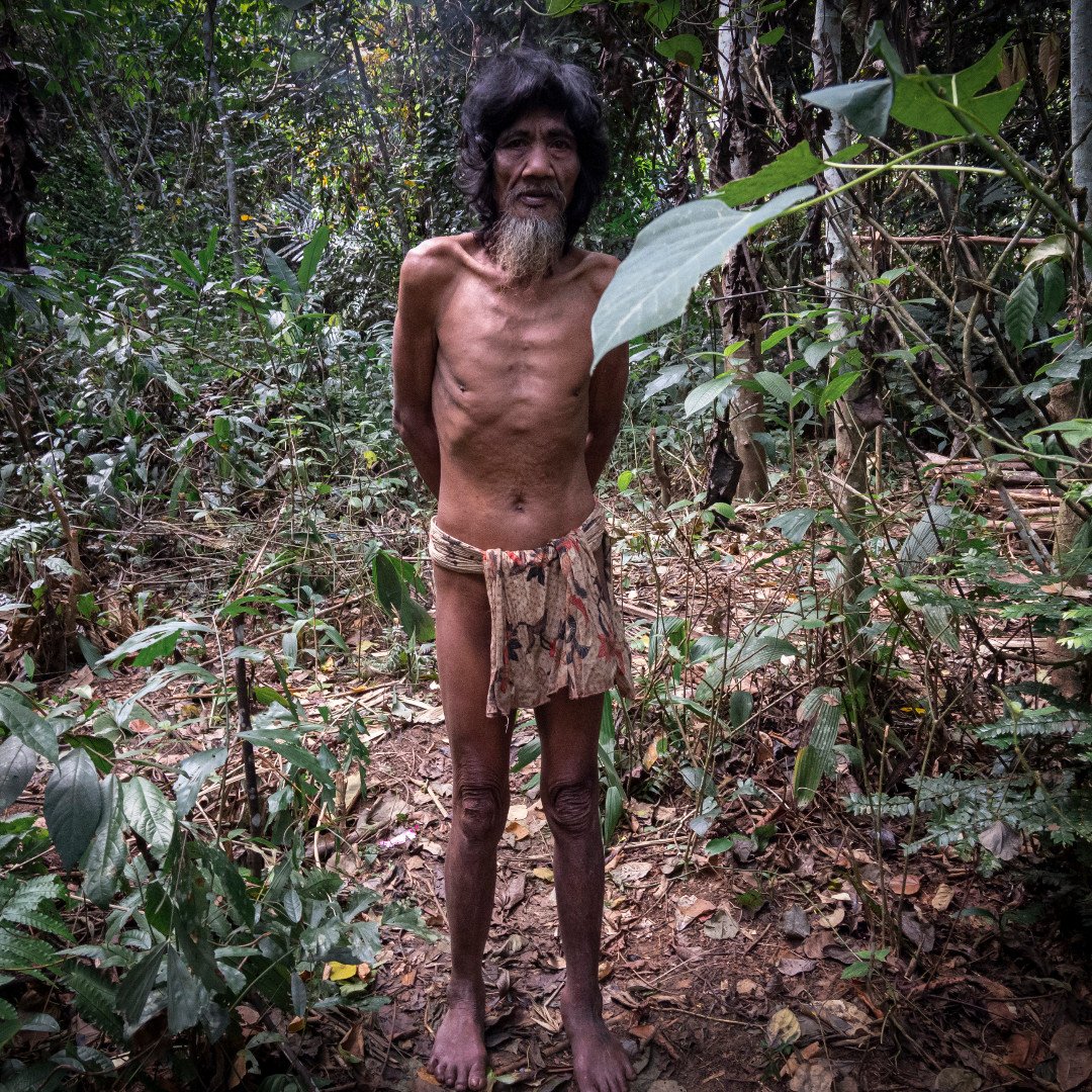 the_last_hidden's tweet photo. Orang Rimba in #jambi #sumatra #orangasli https://t.co/LpYZimlEID