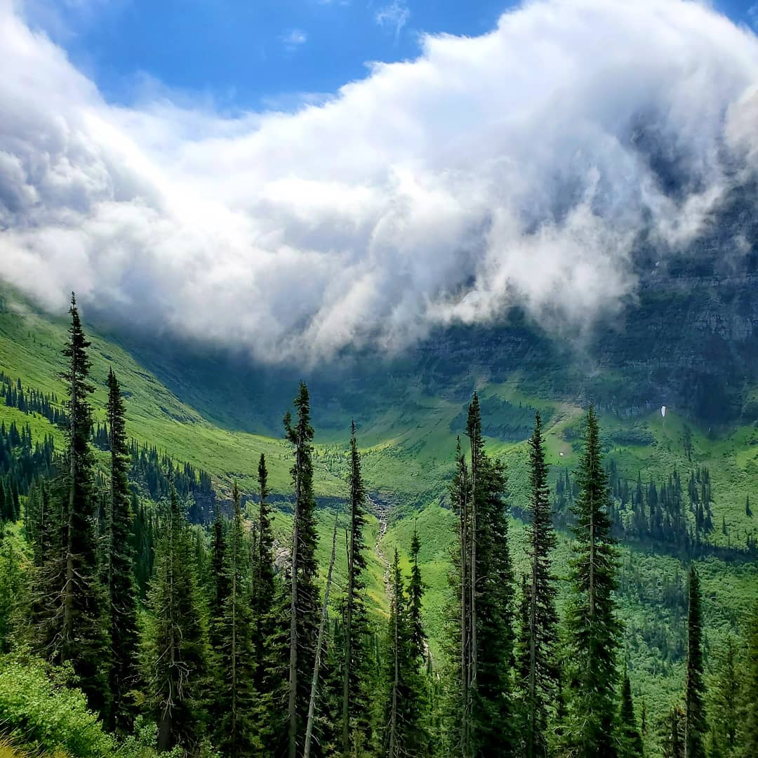 thomsonmark1987's tweet photo. Going to the sun road yesterday. Little road trip from Waterton. https://t.co/tMVAVTikXO