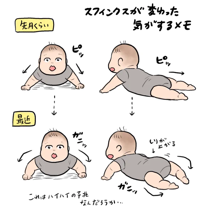 メモ  スフィンクスが変わってきた気がする… 