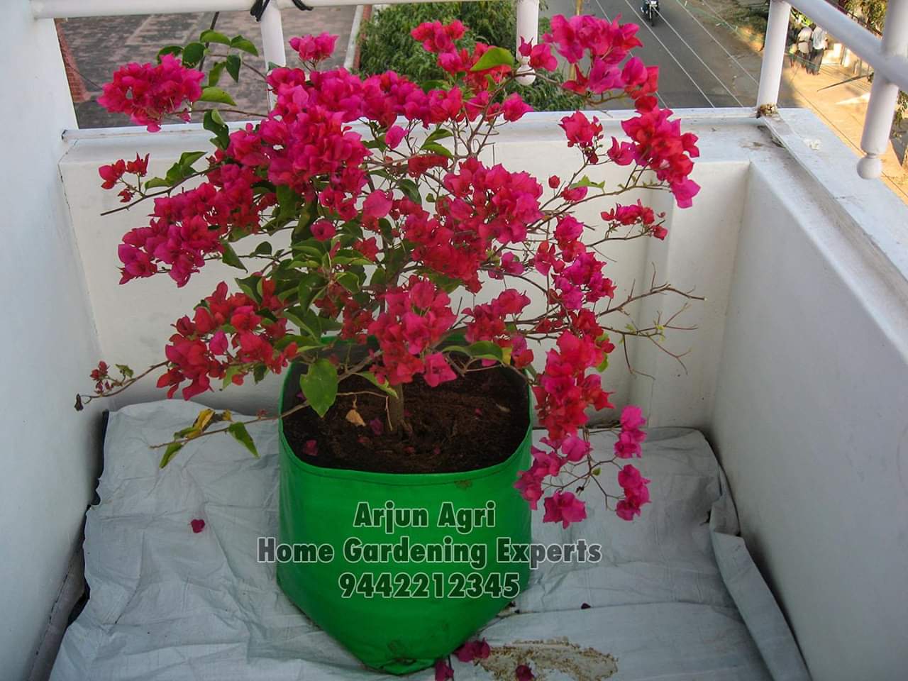 Tweets With Replies By Arjun Agri Arjunagri1 Twitter