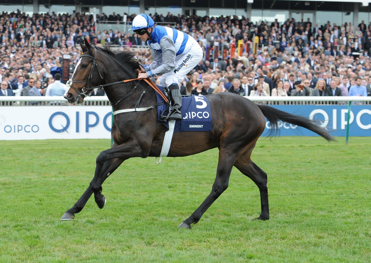 brighthillfarm's tweet photo. **STALLION OPEN DAY**
Join us Friday the 16 August at 2PM for light refreshments and the exciting launch of our 2019 freshman Sire #EMINENT (Frankel) other stallions that will be on show are #PREFERMENT (Zabeel) #DALGHAR (Anabaa) & #PERFECTLYREADY (MoreThanReady) All Are Welcome https://t.co/BdmSqxVpO8