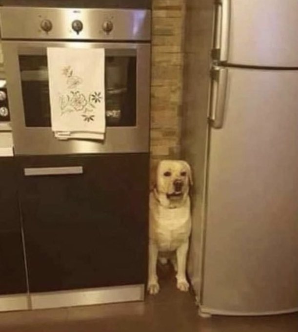 when you find a comfortable spot at the party lol. https://t.co/u47hD16hPR
