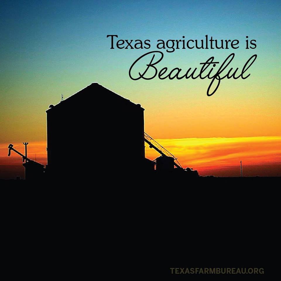 TexasFarmBureau's tweet photo. Early mornings. Or late nights. Through good years and bad. Texas agriculture endures for a better tomorrow. https://t.co/r342RS6Y3i