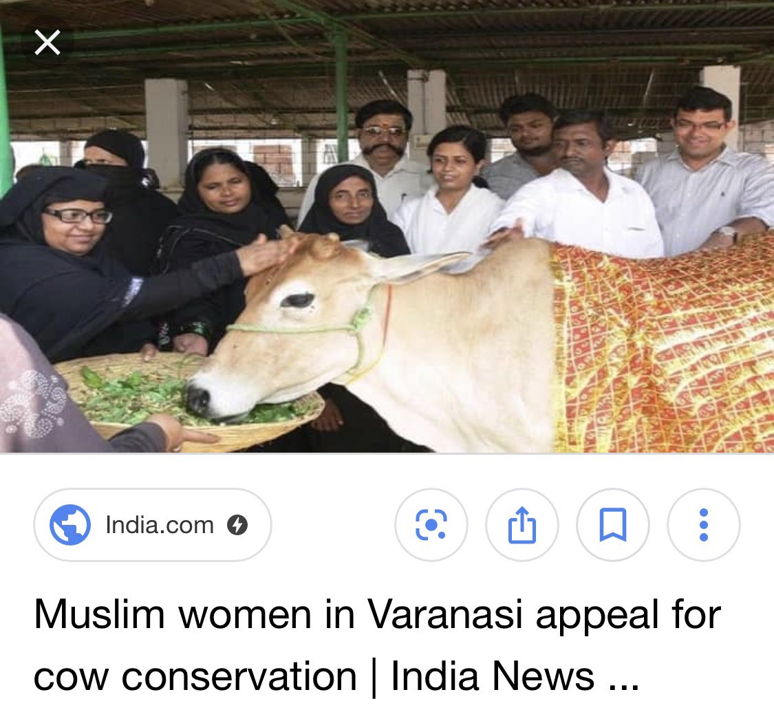 That’s not all. When you read news about Muslim women appealing for cow conservation, it turns out to be them once again 4/n