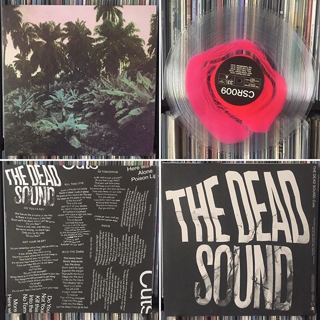 plurex100's tweet photo. 764. The Dead Sound - Here With You (Cuts 2019) #vinyloftheday #vinylrecord #vinyl #songoftheday #vinylcollection #vinylporn #vinyladdict #postpunk #songoftheday #recordcollection #records #recordoftheday #thedeadsound #vinylcommunity #crazysanerecords #… https://t.co/ojMRJnsobK https://t.co/XKCke4Mq4x