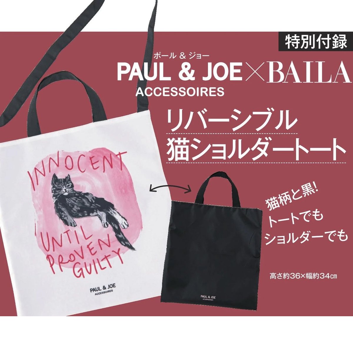 雑誌付録ダイアリー Twitterren 予告 Baila 10月号の付録は Paul