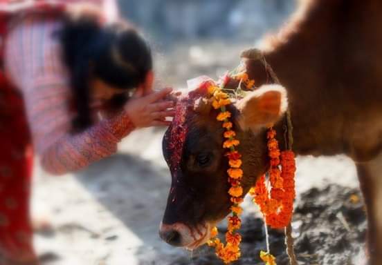 Eid 
Dear indian ab ghai mata ke khair nhi