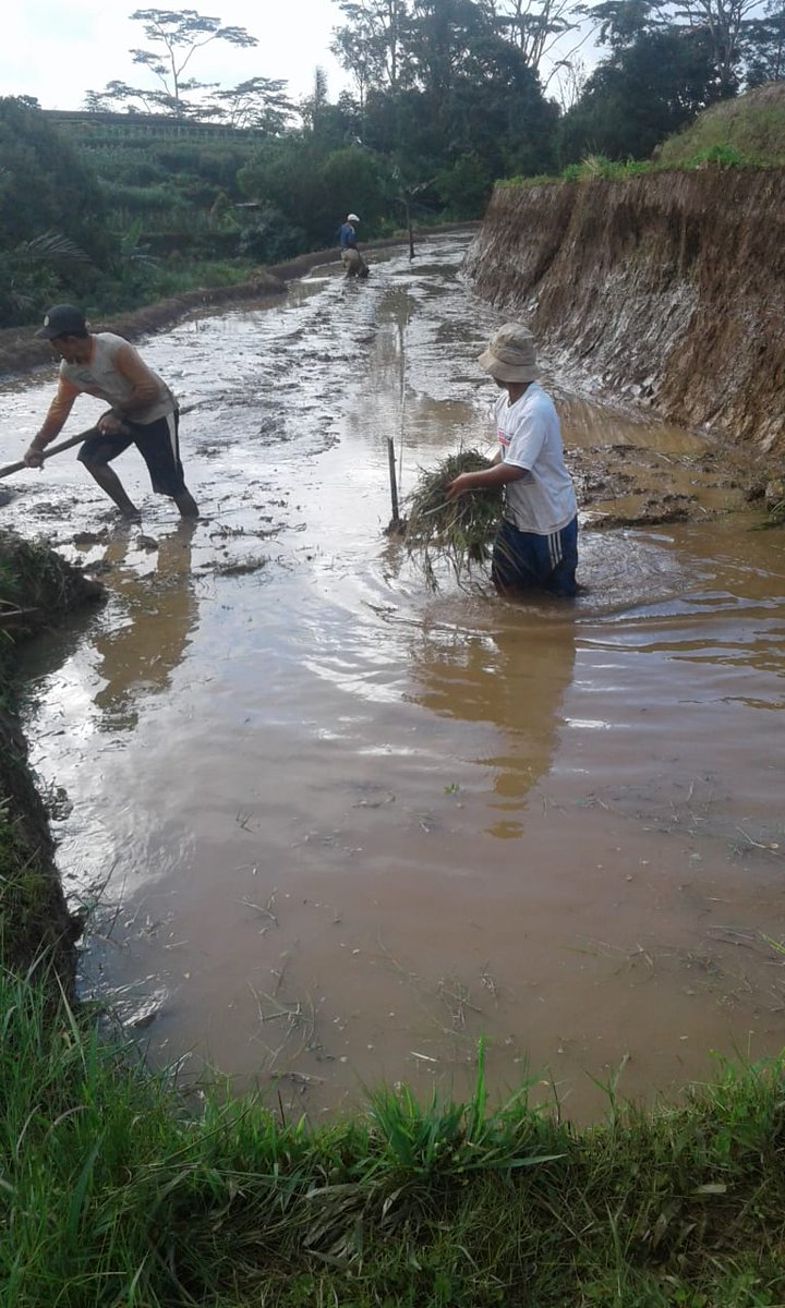 rustam_rider's tweet photo. Semua bentuk kegiatan akan butuh sebuah proses yang panjang, memerlukan adanya tekad dan niat yang kuat serta kerjasama yang selalu terbina setiap saat.
#PetaniPadi
#PembudidayaPerikananAirTawar
#SinjaiBarat
#KpatSinbar https://t.co/T5pFrIIG14
