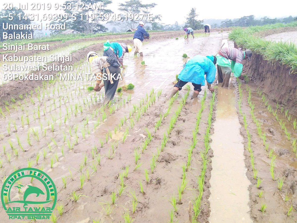 rustam_rider's tweet photo. Semua bentuk kegiatan akan butuh sebuah proses yang panjang, memerlukan adanya tekad dan niat yang kuat serta kerjasama yang selalu terbina setiap saat.
#PetaniPadi
#PembudidayaPerikananAirTawar
#SinjaiBarat
#KpatSinbar https://t.co/T5pFrIIG14