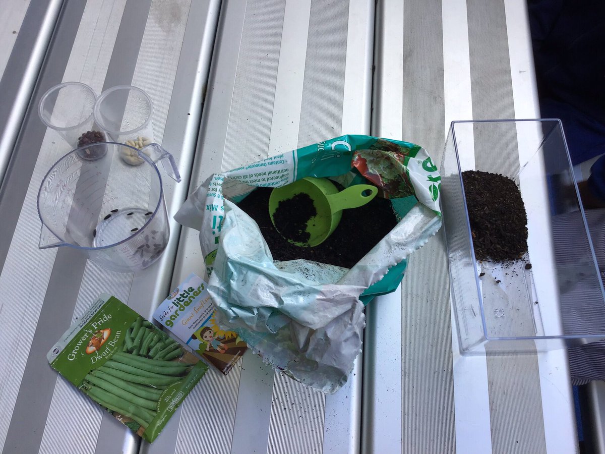 StBrendans_4105's tweet photo. Year 2 are exploring life cycles in science and therefore planted some seeds to see the growth first hand. #STB4105 #STByr2learning #STBscience https://t.co/Z6oBvctcg4