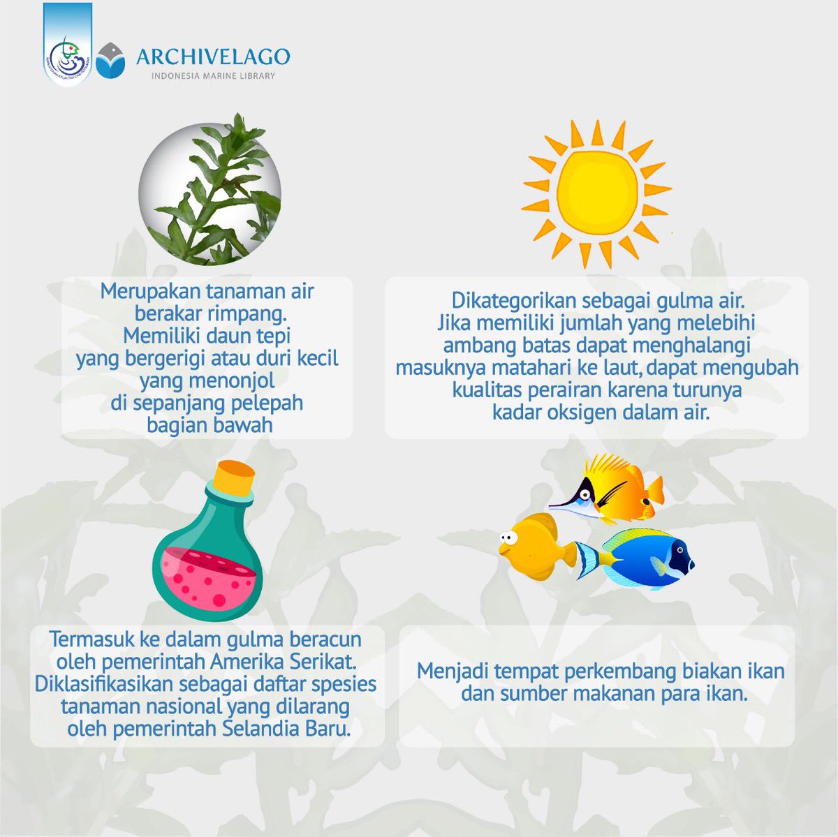 PERPUSKKP's tweet photo. #ArchPedia
Kalau #PemustakaBahari punya kolam di rumah, pasti pernah lihat tanaman ini kan. Tanaman berwarna hijau dan sedikit runcing ini memiliki bentuk yang unik, eits tapi kalau populasinya melimpah malah berbahaya loh. Yuk kita coba kenali lebih dekat 😊 https://t.co/kLqcXbPGvw