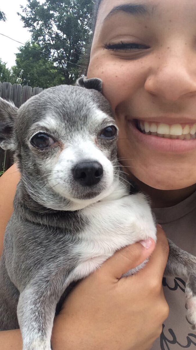 brooke_devonna's tweet photo. R.I.P. my sweet baby Iggy Marye ❤️😭 https://t.co/1GwPpC86al