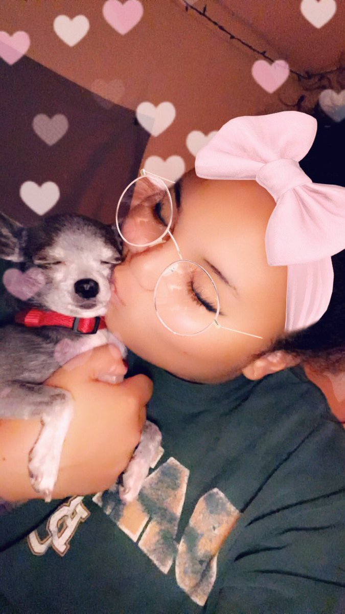 brooke_devonna's tweet photo. R.I.P. my sweet baby Iggy Marye ❤️😭 https://t.co/1GwPpC86al