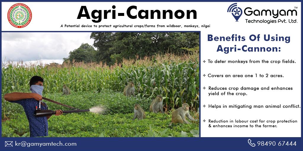 ABRConserv's tweet photo. #Benefits_of_using_Agri_Cannon
Learn more: https://t.co/S3jj59E3CS
Contact us @+91-9849067444
#monkeyscarerdevice #savecrops #protectcrops #birdscarer #birdrepeller @icarindia @AgriInformer @anauagrosupport https://t.co/SLj72Aoz7F