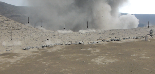 Benjamin Simons tweet media