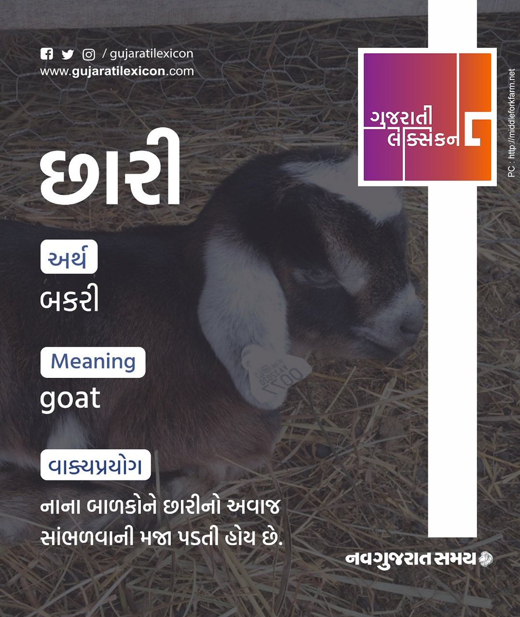 gujaratilexicon's tweet photo. GL આજનો શબ્દ.. નવગુજરાત સમય સાથે..⠀⠀⠀⠀
#WOTD #wordofthed ay #gujarat #garvigujarat #gujaratilanguage #gujaratilexicon #mondaymotivation #word #newword #language https://t.co/DW4ya4YMo3