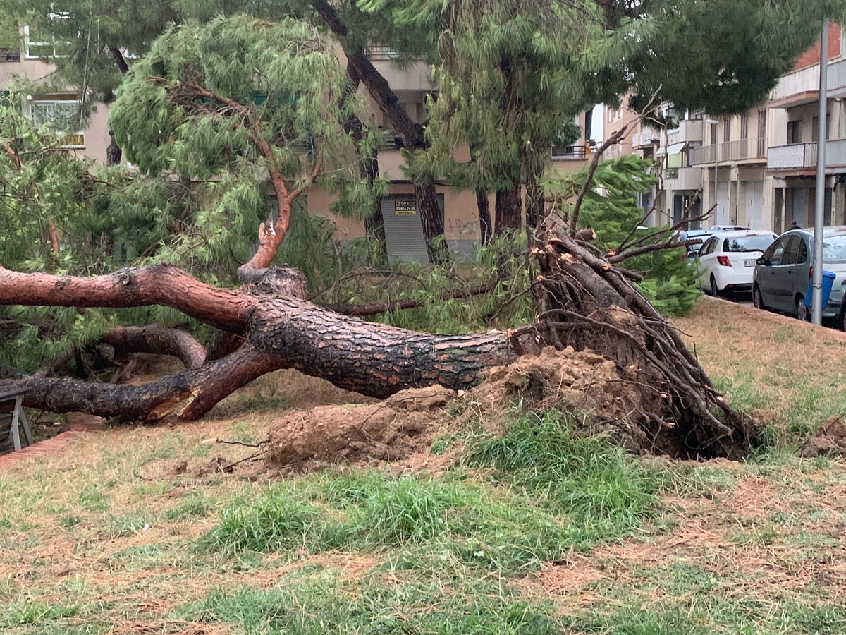 ajuntamentvng's tweet photo. Efectes se la tempesta d’aquesta matinada a Vilanova i la Geltrú https://t.co/doGA6Z4hNh
