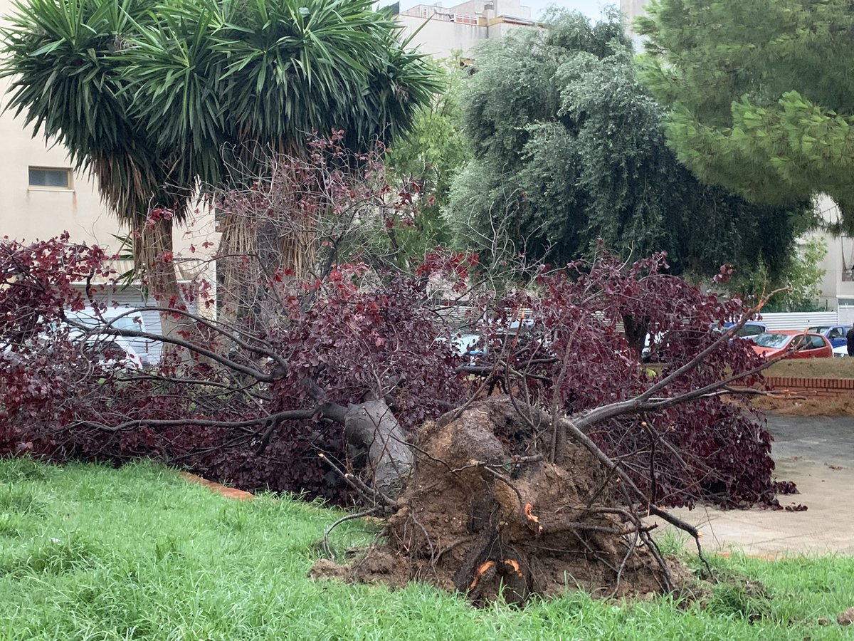 ajuntamentvng's tweet photo. Efectes se la tempesta d’aquesta matinada a Vilanova i la Geltrú https://t.co/doGA6Z4hNh