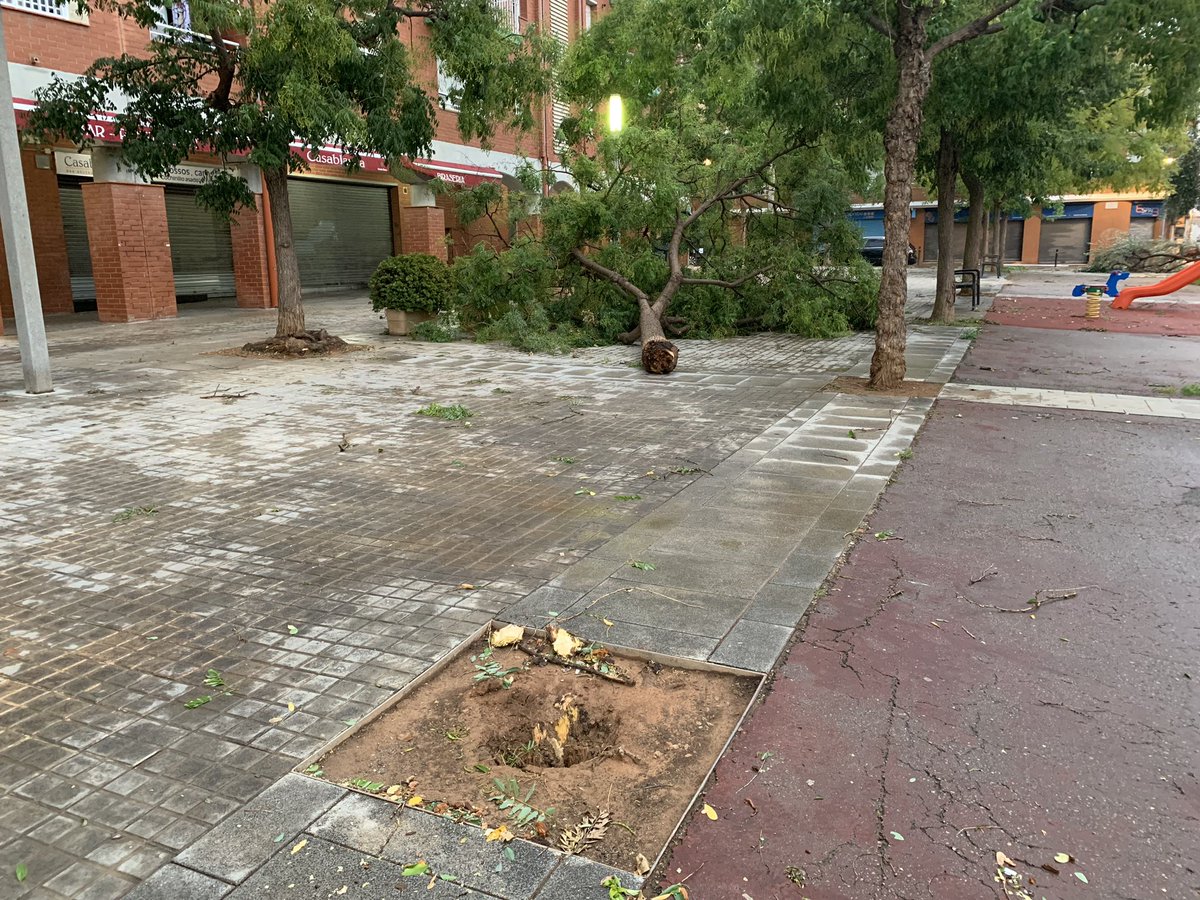 ajuntamentvng's tweet photo. Efectes se la tempesta d’aquesta matinada a Vilanova i la Geltrú https://t.co/doGA6Z4hNh