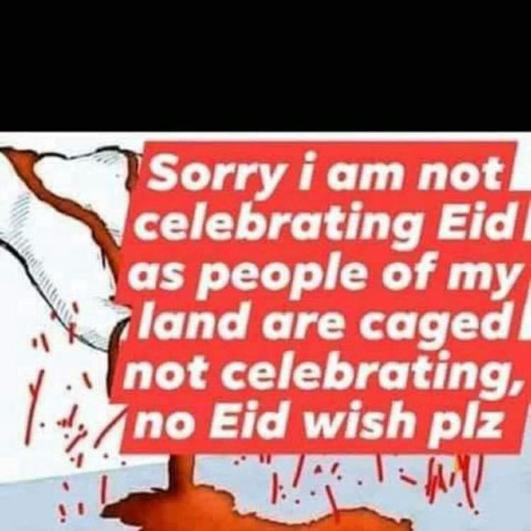 junaidbhatt14's tweet photo. https://t.co/ZvKICdHIAr