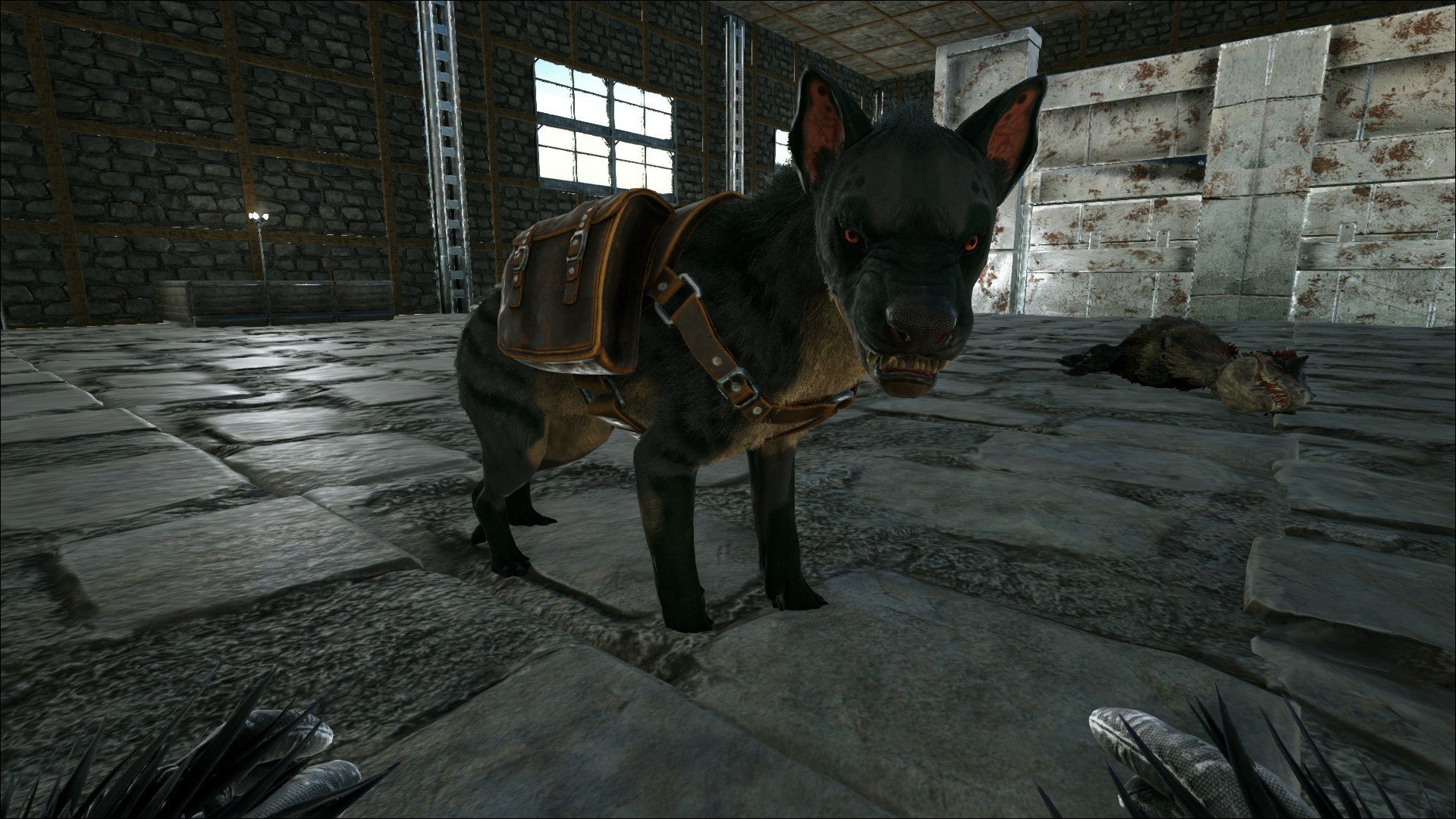 魅惑色のぱんだ Ark ブリーディングのおともにヒエノドン って事でテイムしましたぁー ヒエノドン必要ないって人多いですが 多めにブリする時に幼年期の間いるとほんと肉のもち具合が変わるので是非とも使ってみて欲しい 生肉だけじゃなく焼肉にも 魅惑色のぱんだ Ark ブリーディングのおともにヒエノドン って事でテイムしましたぁー ヒエノドン必要ないって人多いですが 多めにブリする時に幼年期の間いるとほんと肉のもち具合が変わるので是非とも使ってみて欲しい 生肉だけじゃなく焼肉にも