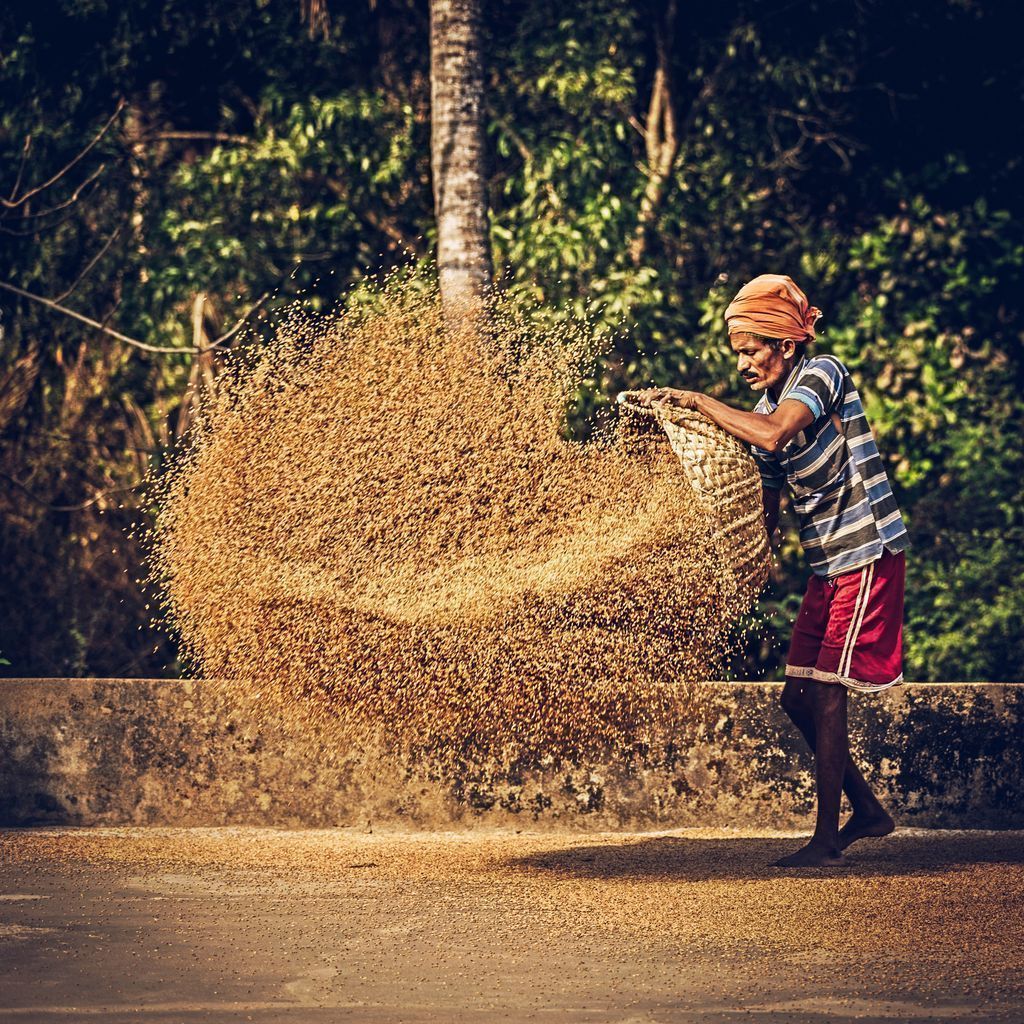 FAO's tweet photo. Rural people produce 3/4 of the world's food yet these same people constitute 80% of the global poor. 

We need to support our food producers. They are our #ZeroHunger heroes! https://t.co/XBcQJu6hVJ