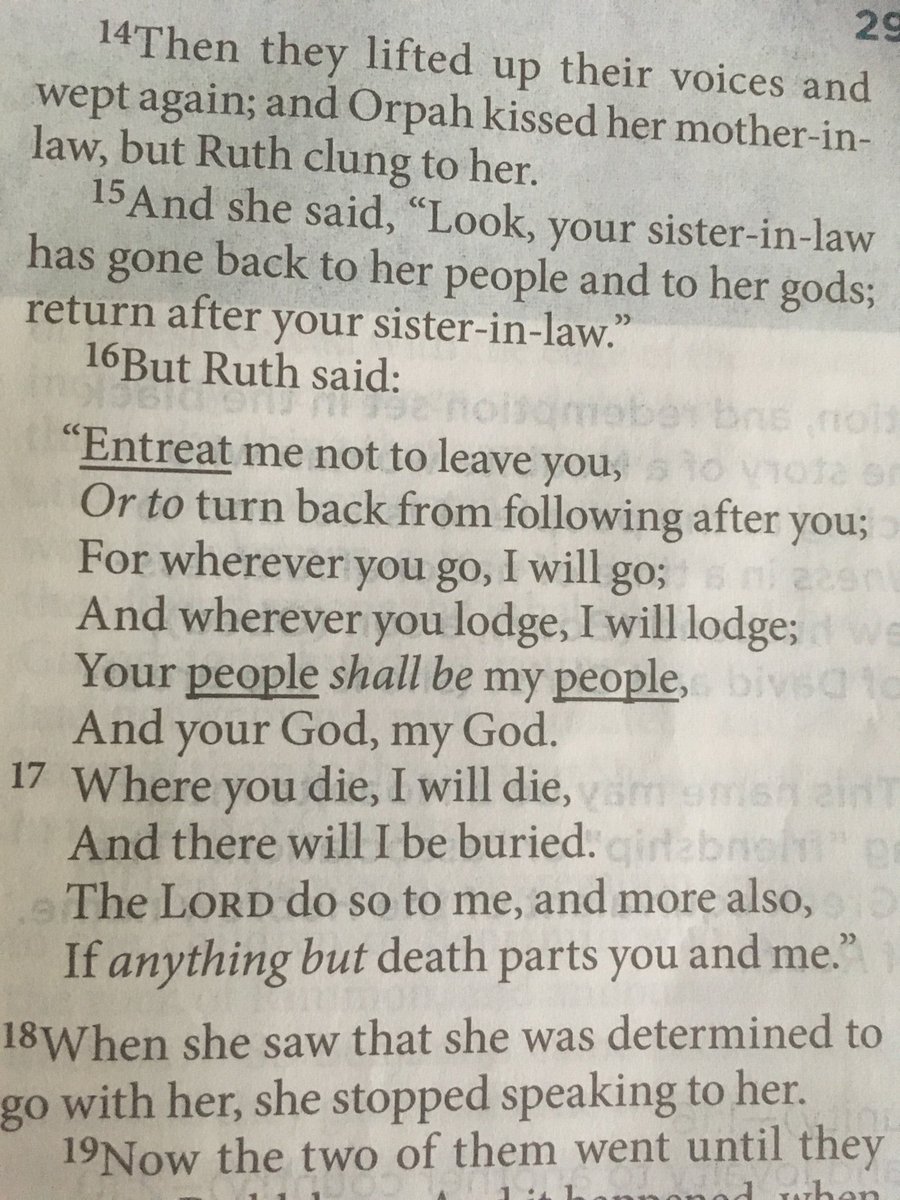 download surviving the