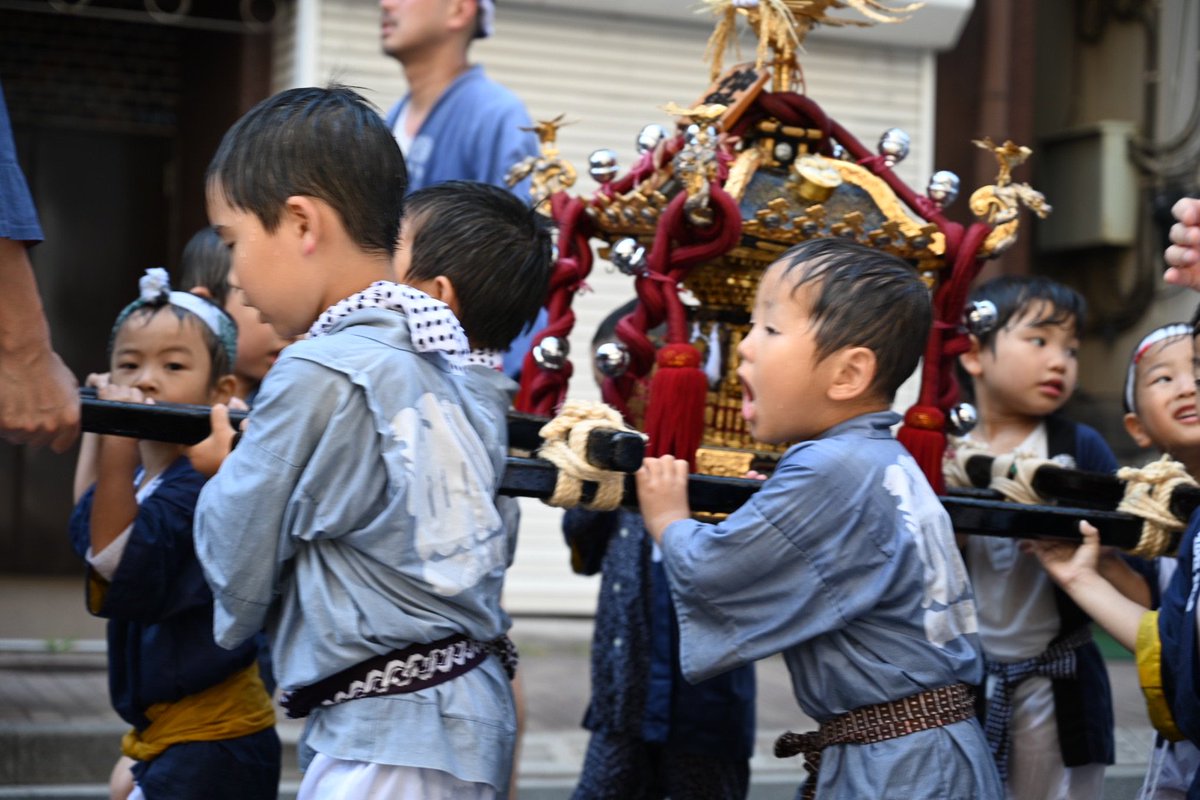 sc1210's tweet photo. 深川の水掛祭り2019も今年は本祭ではなかったのでおとなしめでしたが、昨日終わりまして、子供も大人も盛り上がってました。スペイントマト祭りなどを代表とされる世界の祭りには、世界から参加者が集まるのに、あんまり外国人がいるようには見えなかったな。浅草三社祭りとかは土地柄も多いけど。 https://t.co/3ekWMCS4V1
