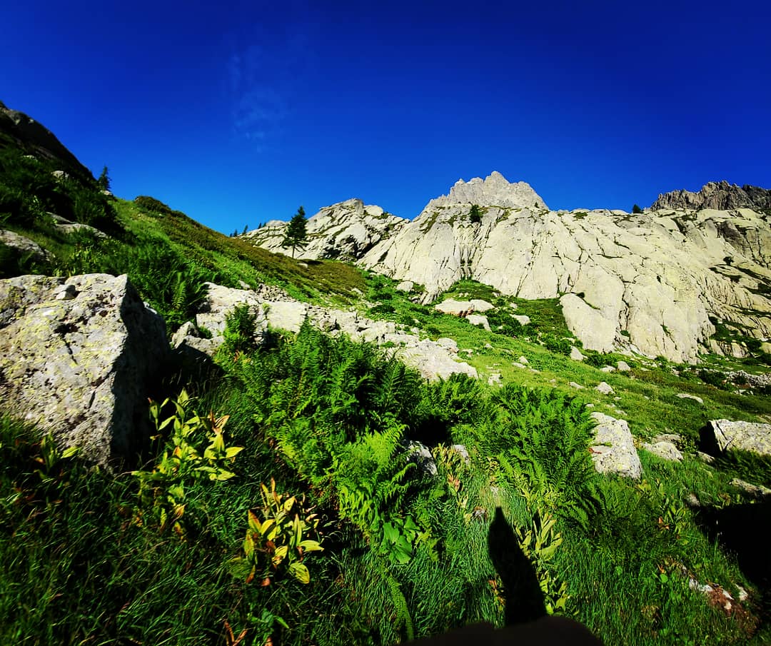 matunagahiroaki's tweet photo. ヒッチハイクでVallorcine。そこからChamonix。朝日を浴び、生きるって素晴らしい✨
By hitchhiking, to Vallorcine. From there, running back to Chamonix. Under sunrise, life is great
#トレイルランニング #trailrunning #松永紘明 #トレイルランナーズ #hiroakimatsunaga #utmbccc #utmb https://t.co/0tRCi9hG7o