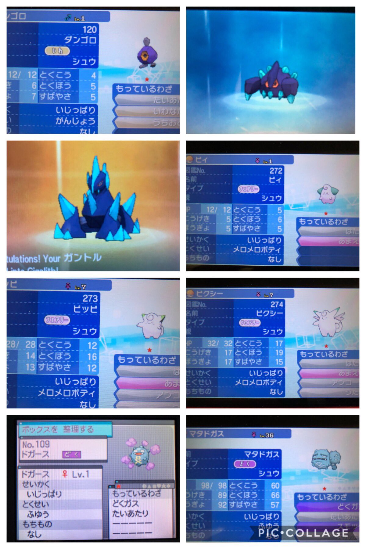 シュウああ Na Twitteru 剣盾色図鑑ys プルリル ブルンゲル コロモリ ココロモリ ホーホー ヨルノズク ジグザグマ マッスグマ ダンゴロ ガントル ギガイアス ピィ ピッピ ピクシー ドガース マタドガス ユニラン ダブラン ランクルス バチュル デンチュラ