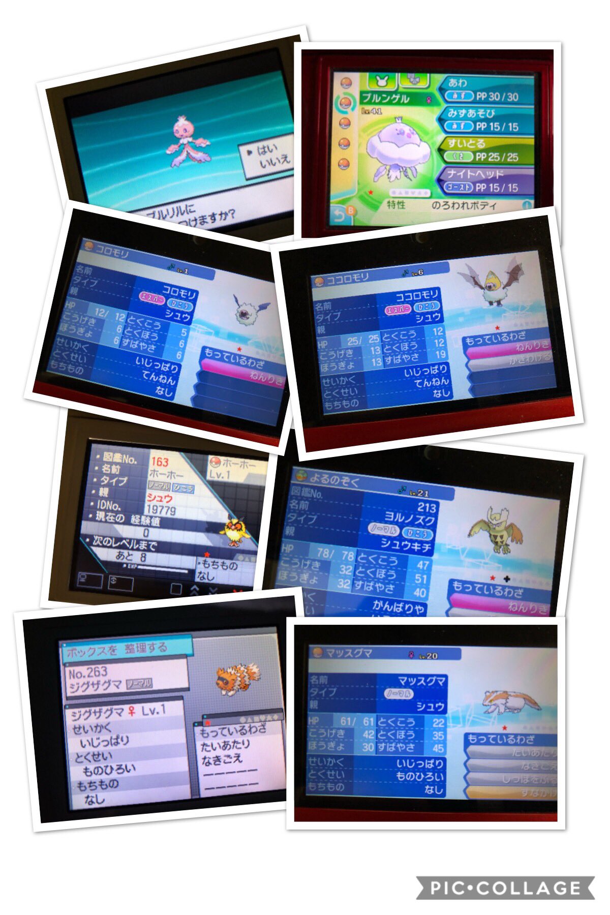 シュウああ Na Twitteru 剣盾色図鑑ys プルリル ブルンゲル コロモリ ココロモリ ホーホー ヨルノズク ジグザグマ マッスグマ ダンゴロ ガントル ギガイアス ピィ ピッピ ピクシー ドガース マタドガス ユニラン ダブラン ランクルス バチュル デンチュラ シュウああ Na Twitteru 剣盾色図鑑ys プルリル ブルンゲル コロモリ ココロモリ ホーホー ヨルノズク ジグザグマ マッスグマ ダンゴロ ガントル ギガイアス ピィ ピッピ ピクシー ドガース マタドガス ユニラン ダブラン ランクルス バチュル デンチュラ