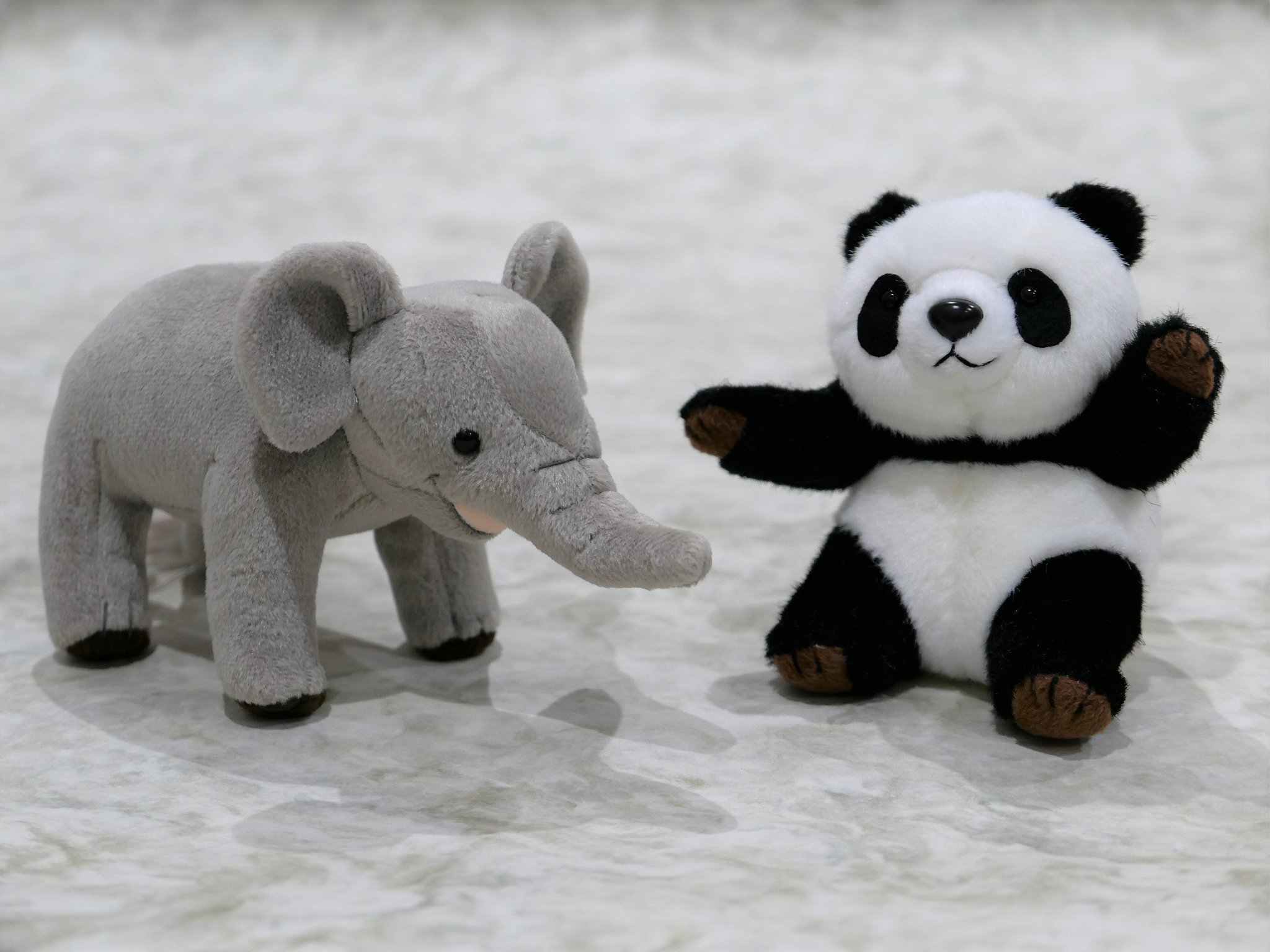 上野動物園［公式］ on X: 