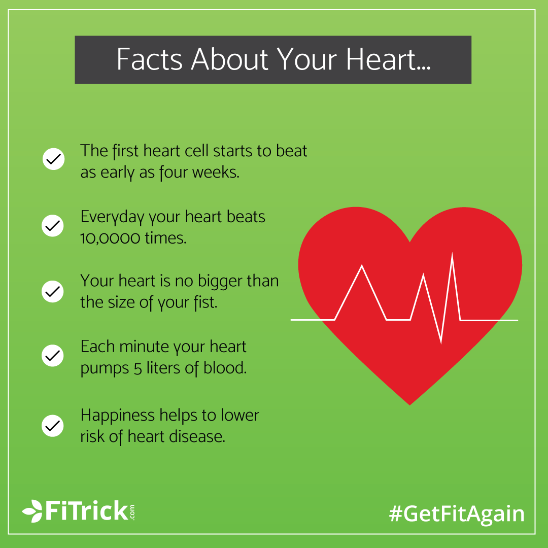 fitrickofficial's tweet photo. The heart looks like a little apple. We stay away from critical issues until pumping blood around the body and always keep spread pleasure. Get the way how easily your #heart assists to meet the oxygen from your bloodstream.

#healthfacts #healthtips #fitrick #getfitagain #health https://t.co/g97kl3BeEH