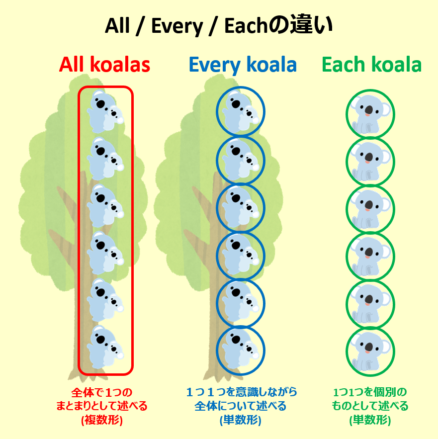 こあたん こあらの学校 All Every Eachの違い