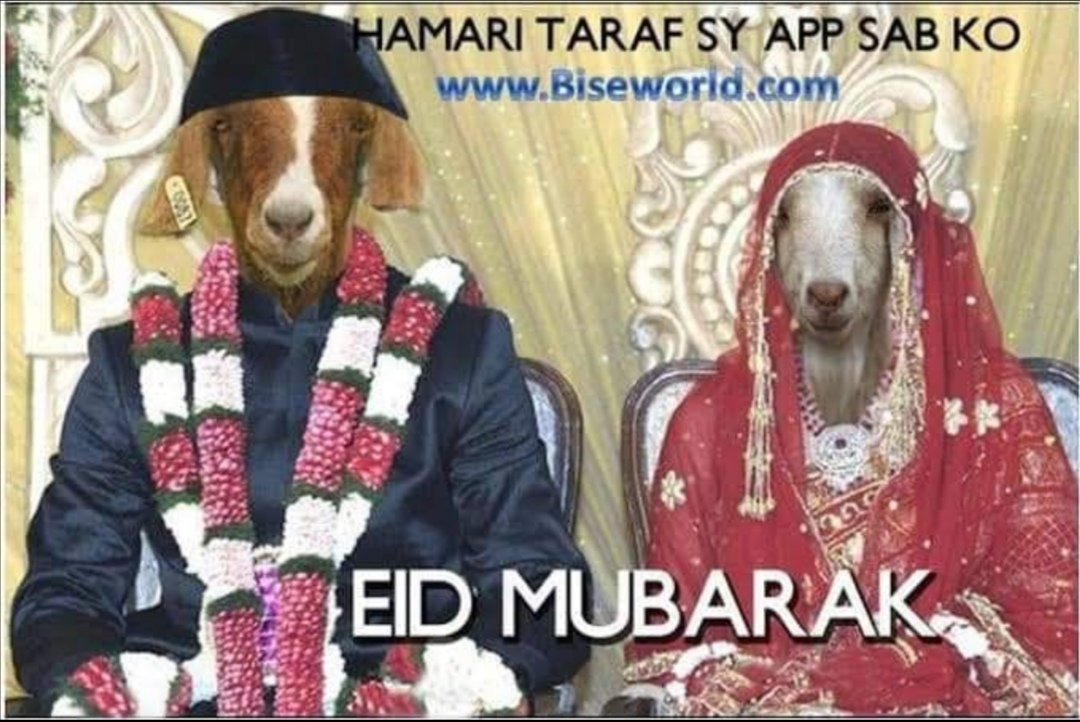 y_muzz's tweet photo. SUB KO EID MUBARAK 😂 https://t.co/oHS3TbQNNK