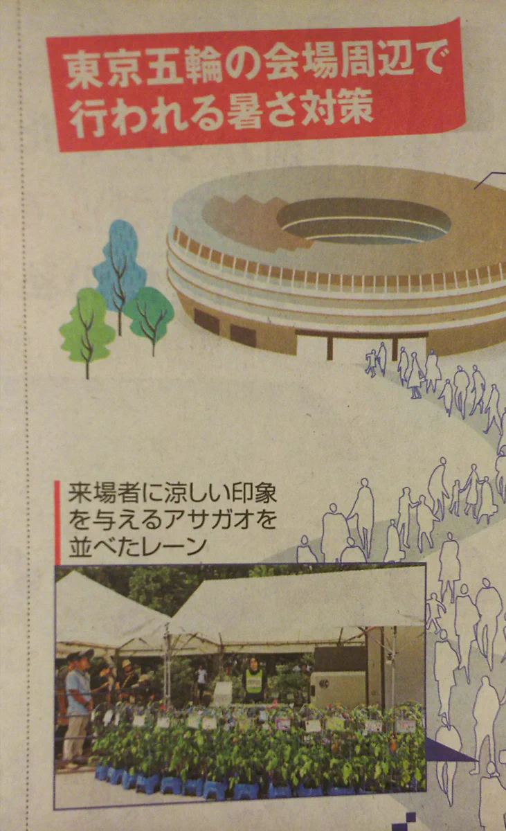 東京五輪の会場周辺にアサガオを並べて暑さ対策？実は体温を下げる効果はないwww