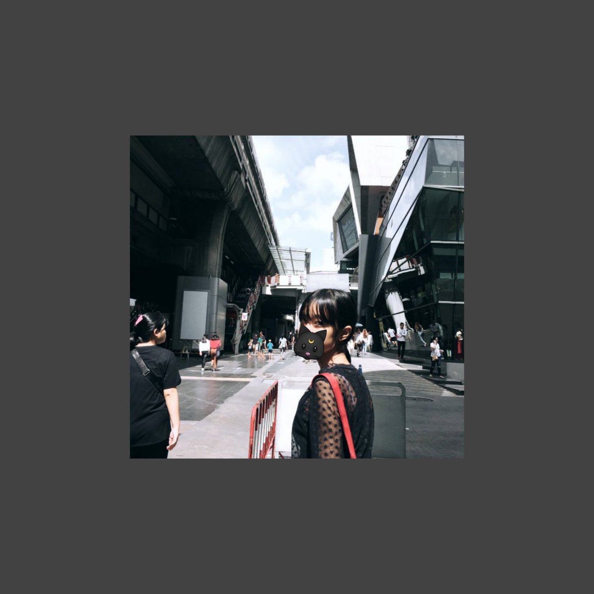 Cat🐱[โสด]FT.อยู่รร.🏫 tweet media