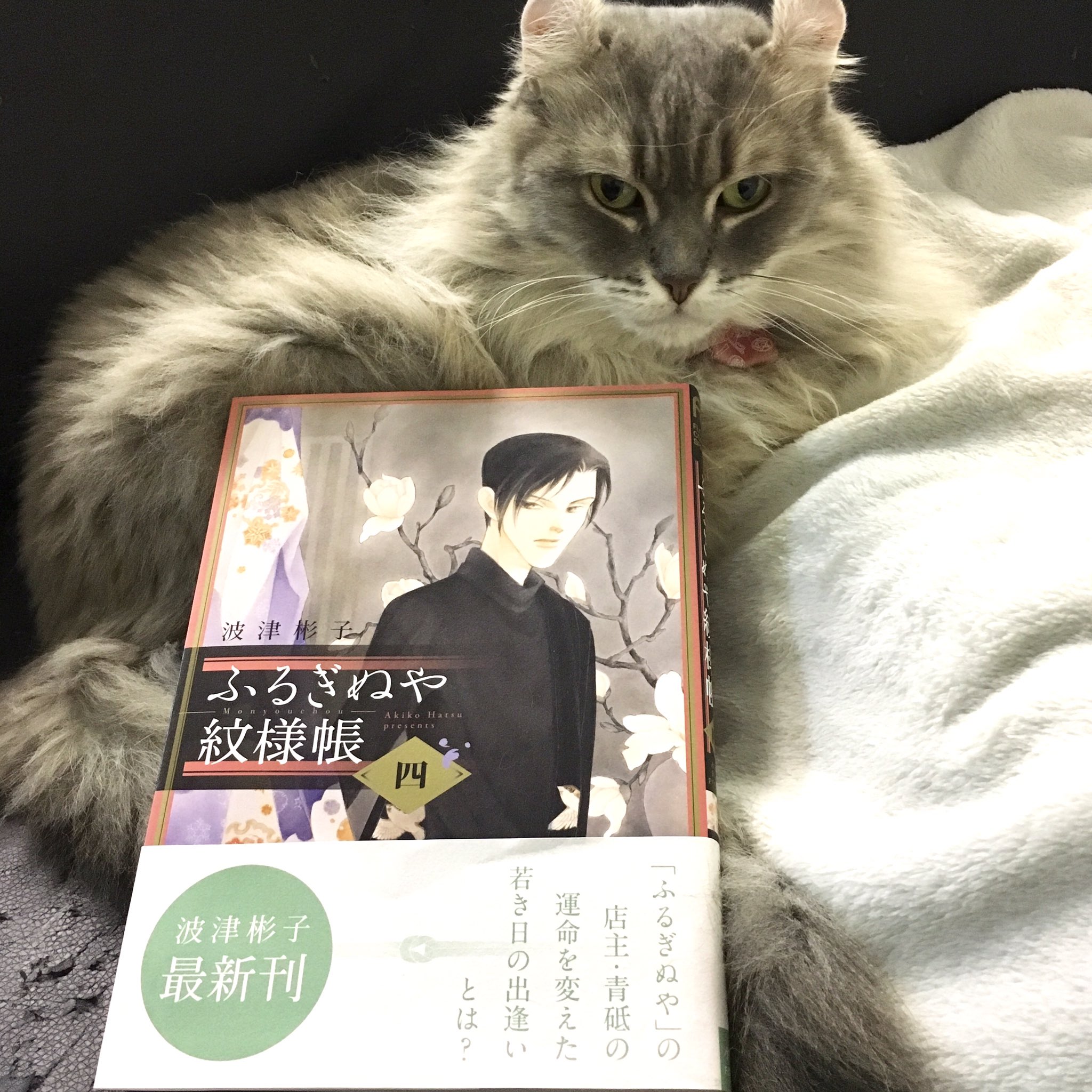 ふるぎぬや紋様帳 Twitter Search Twitter