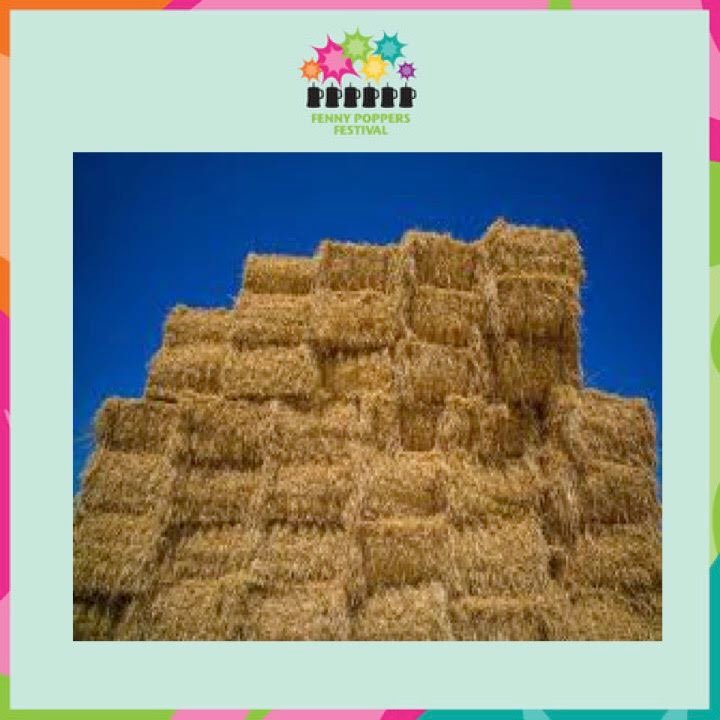 FennyPoppers's tweet photo. Hi all!!! We will be selling the bails of straw at cost price after the festival if you want some 💚 £2 per bail 💚 from 6pm 💚 @ the main stage or acoustic stage 💚 https://t.co/Q3UJnAjXFv