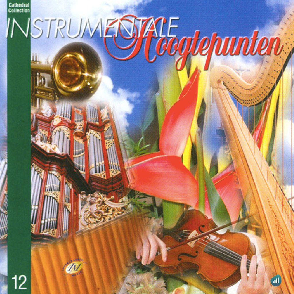 Instrumentale Hoogtepunten, een album uitgevoerd door diverse musici, waaronder Danielle van Laar, Wilhelm Groenendijk en Peter Wildeman.

#instrumentalehoogtepunten #familystream