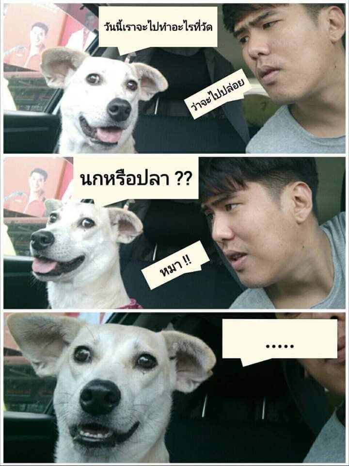 เวสปี้รีวิวยั่วแม่ tweet media