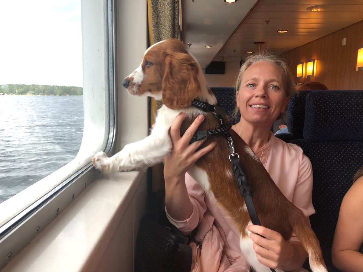 Edvard Unsgaard (@unsgaardedvard) on Twitter photo 