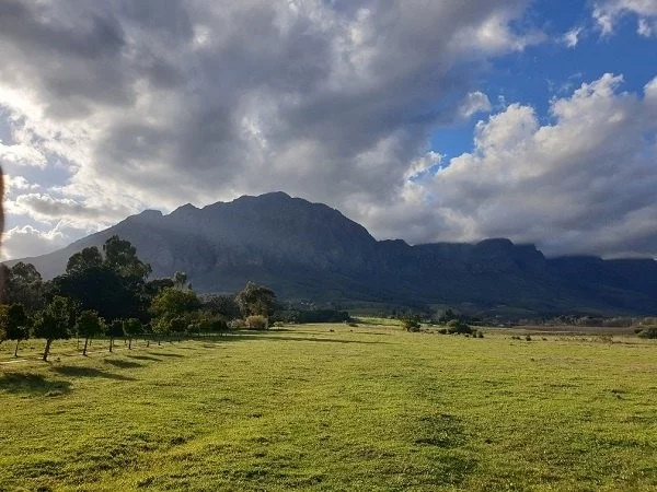 BISouthAfrica's tweet photo. The SA government is ready to transfer more than 100 plots of state-owned land in restitution – just as soon as the paperwork is done https://t.co/JsdoMrowc2 #SALandReform #StateOwnedLand #landclaims https://t.co/YDveVnJmU3