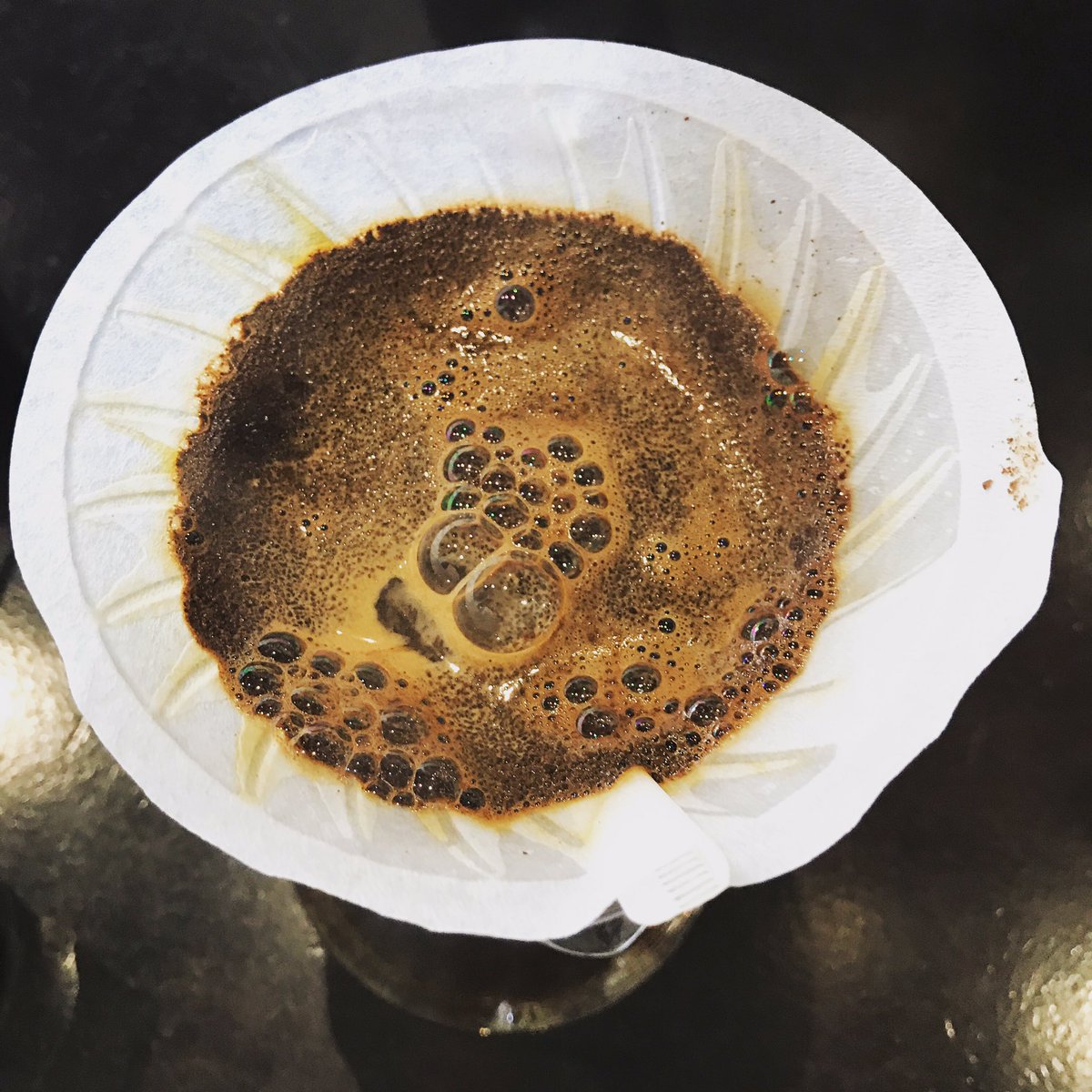 aventurabarista's tweet photo. O Bloom da segunda-feira! 😌🍃☕️ O Bloom é o primeiro contato do café moído com a água, e aí aparecem essas lindas bolhas perfumadas #bomdia #cafedamanha #cafecoado #instacoffee #coffeebloom #cafezinho #mondaymotivation #goodvibes #cafe #peoplebrewcoffee https://t.co/QvmkVIzrAi