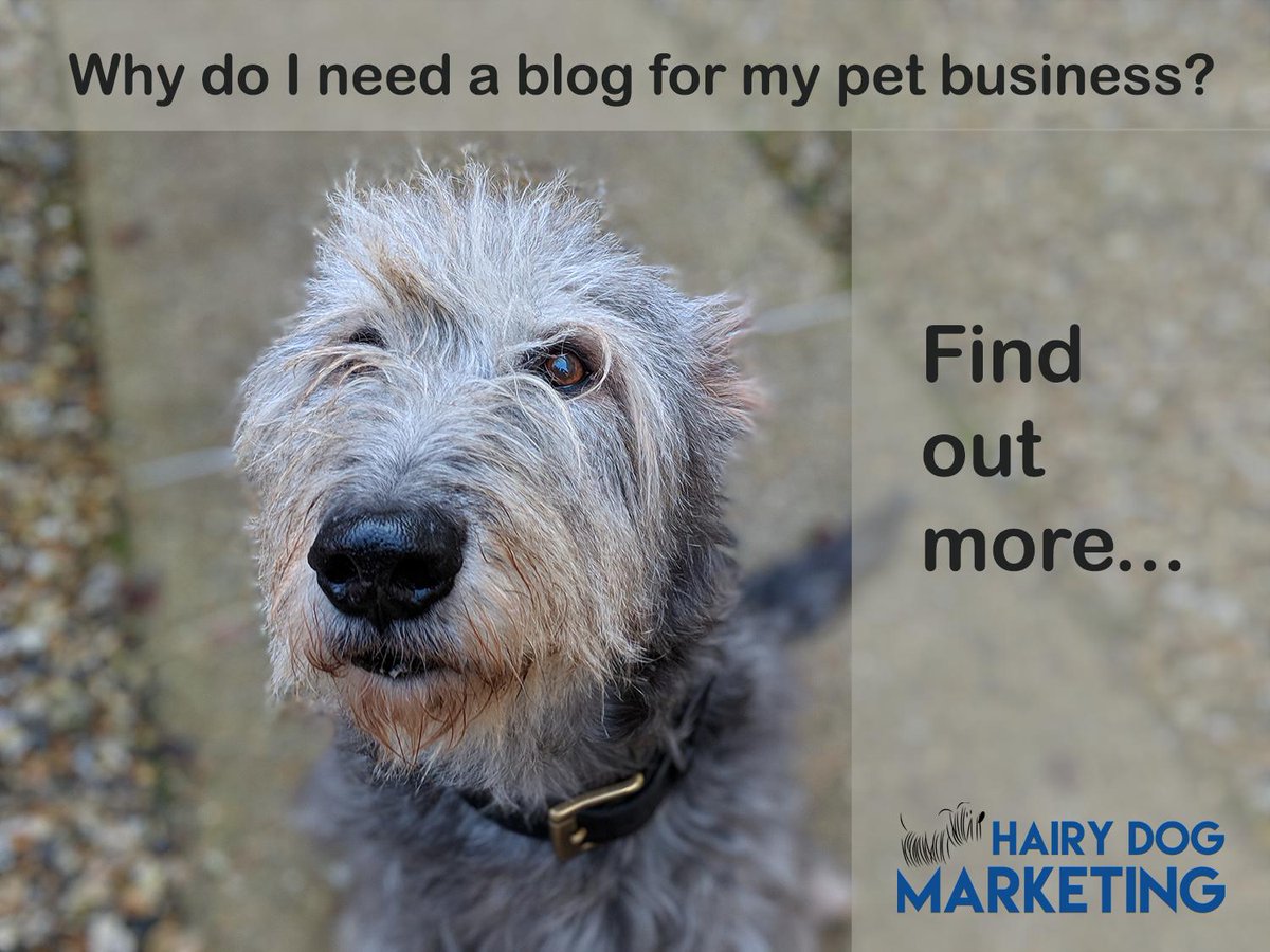 HairyMarketing's tweet image. Have you wondered why blogging actually helps?  Have you given it a try without any visible results and given up?
Blogging really does work, in many ways.. #whyblog