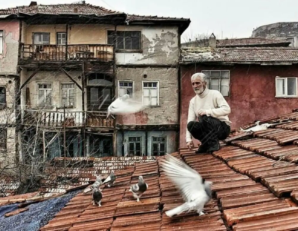 _birkackisicom_'s tweet photo. 'Yaslandık uçuruma bekliyoruz insanlığı..'
Zeynep Havva Akyol'dan nefis bir şiir  'Bir garip insanlık'. 
 https://t.co/modHfMHiHi https://t.co/iFl5UbSFz7
