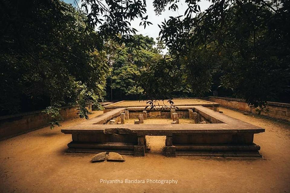 Tripavi1's tweet photo. Ritigala Forest Reserve is known for the ancient forest monastery lent to Buddhist monks.
Interested to learn more? We'll be happy to help
Email - info@tripavi.com
Contact - 094 112 712 100
#ritigala #forestmonastery #archeological #historical #srilanka #travel #sosrilanka https://t.co/SjNOI6LS8C