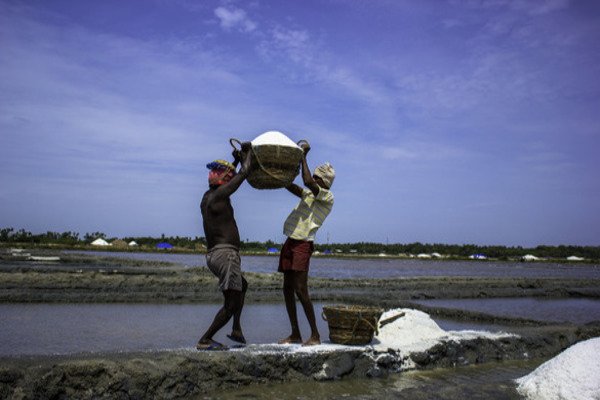 BeachesNearMe's tweet photo. Marakkanam is the major source of salt production in Tamilnadu. To know more about this salt pans click here, 
https://t.co/QElFPUPgOR

#Marakkanam #SaltPans #SaltBanks #beachesnearm https://t.co/yZSLnHV6nb