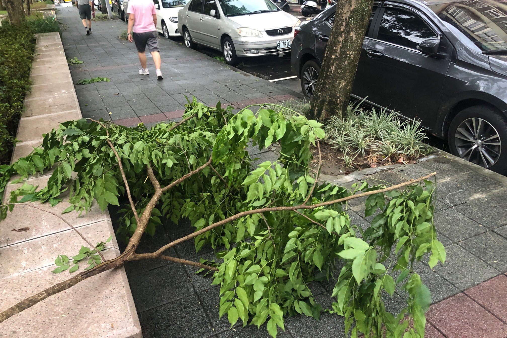 ট ইট র 台湾旅行情報ガイド 台北ナビ ほっと台北 台風接近で台湾北部が台風休暇になりました T Co Qja8lrspoj これから台風シーズン 備えはしっかりとしておきたいですね 台風 台風休暇 台風9号 災害 ট ইট র 台湾旅行情報ガイド 台北ナビ ほっと台北 台風接近で台湾北部が台風休暇になりました T Co Qja8lrspoj これから台風シーズン 備えはしっかりとしておきたいですね 台風 台風休暇 台風9号 災害