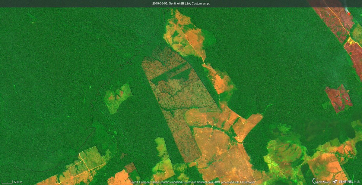 Copernicus Land Monitoring Service tweet media